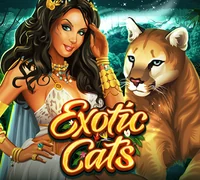 Exotic Cats